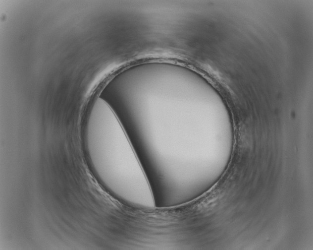 X0000088611408200705250846