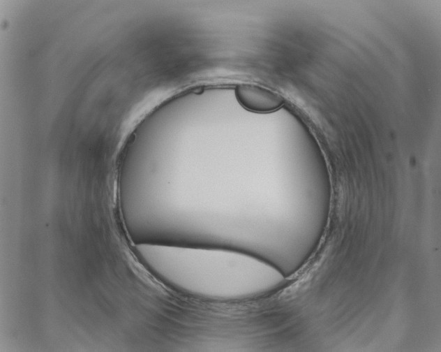 X0000088611413200705250846