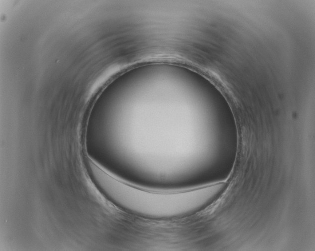 X0000088611422200705250846