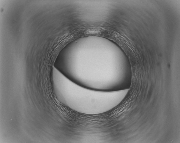 X0000088611441200705250846