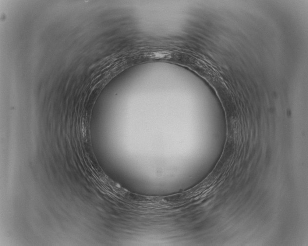 X0000088611442200705250846