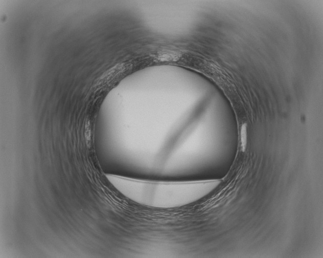 X0000088611443200705250846