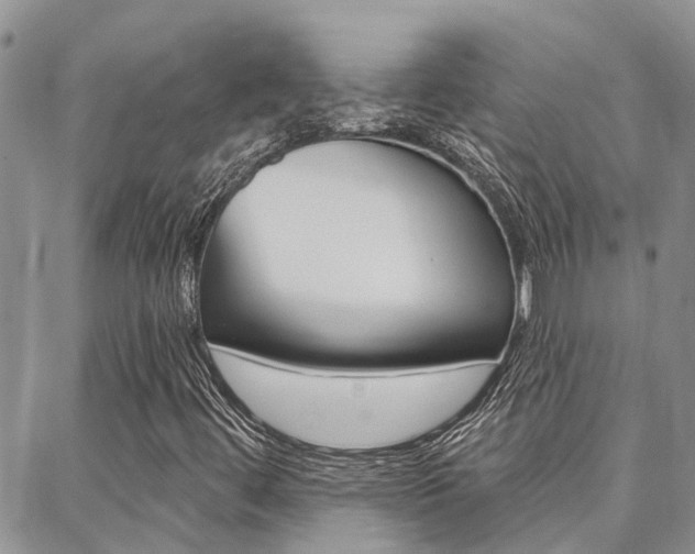 X0000088611444200705250846