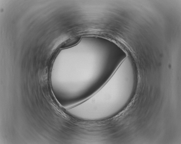 X0000088611450200705250845