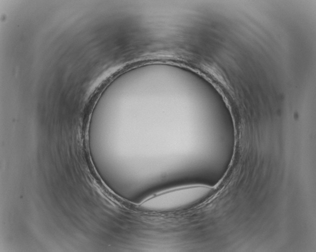 X0000088611452200705250845