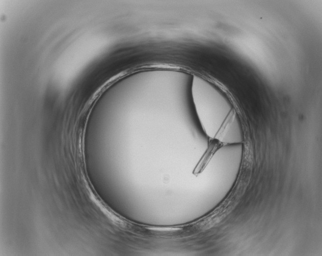 X0000088611487200705250845