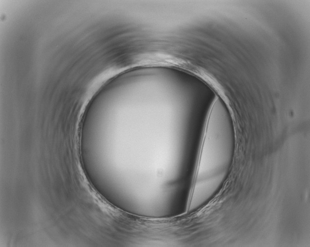 X0000088611488200705250845