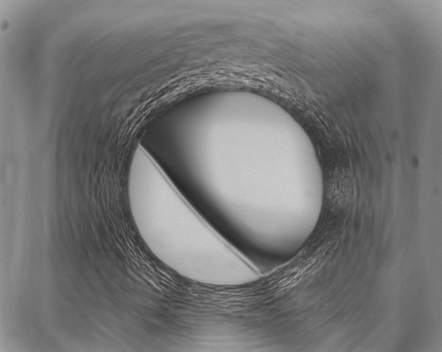 X0000088611490200705250844
