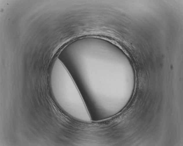 X0000088611497200705250844