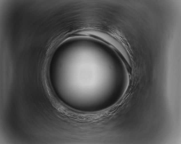 X0000088610001200705251230