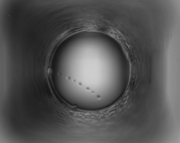 X0000088610003200705251230