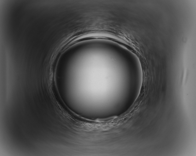 X0000088610005200705251230