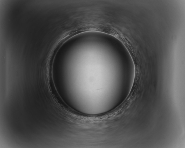 X0000088610006200705251230