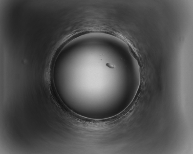 X0000088610008200705251230