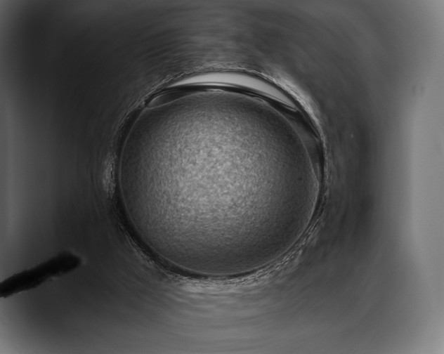 X0000088610009200705251230