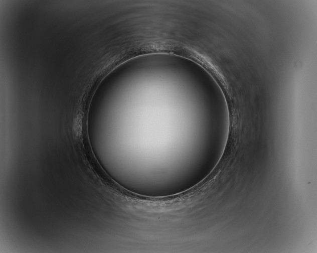 X0000088610010200705251230