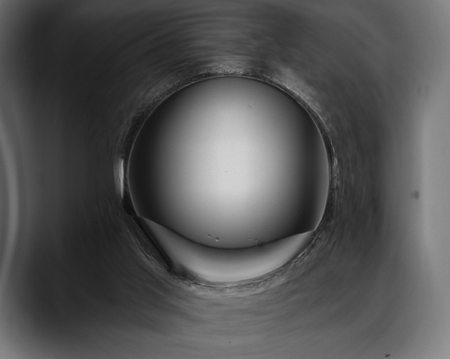 X0000088610013200705251230