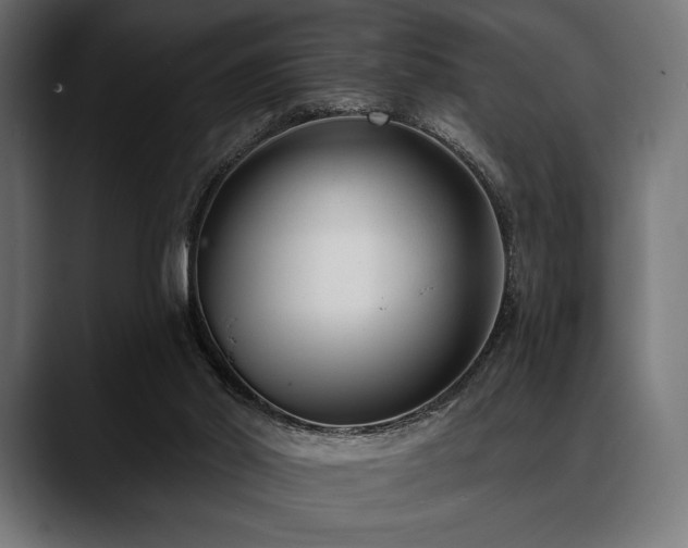 X0000088610014200705251230