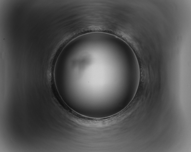 X0000088610015200705251230