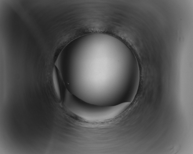 X0000088610017200705251230