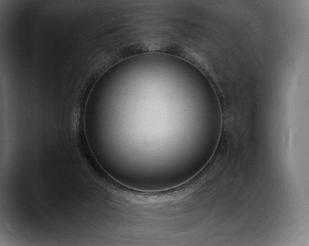 X0000088610018200705251230