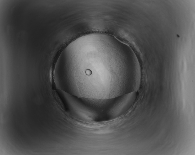 X0000088610019200705251230