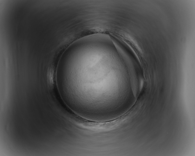 X0000088610023200705251230