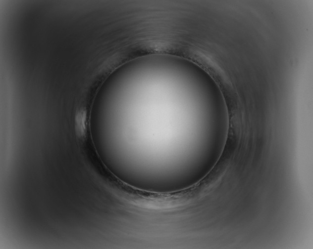 X0000088610024200705251230