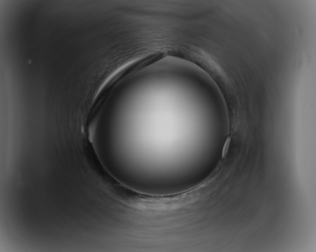 X0000088610025200705251230