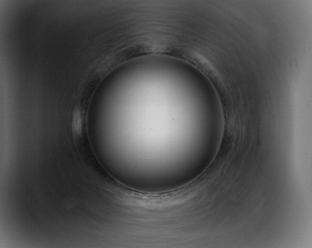 X0000088610026200705251230