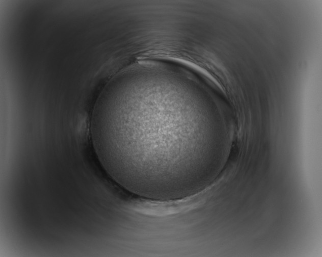 X0000088610029200705251230