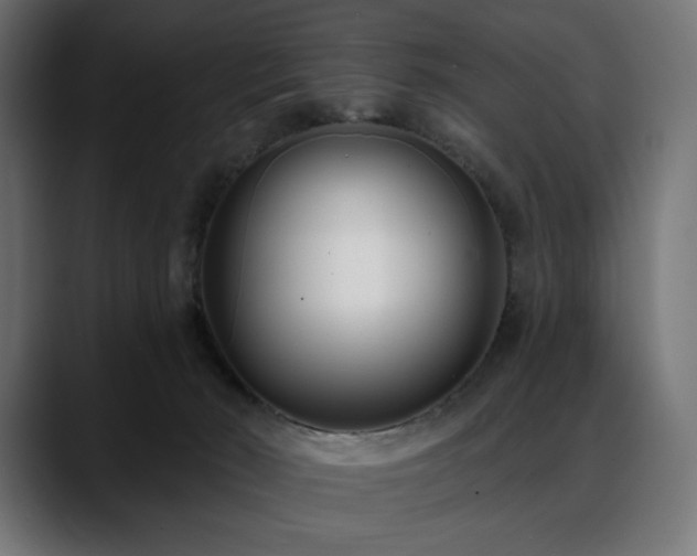 X0000088610030200705251230