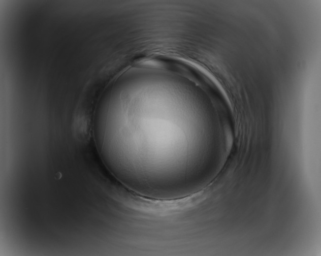 X0000088610031200705251230