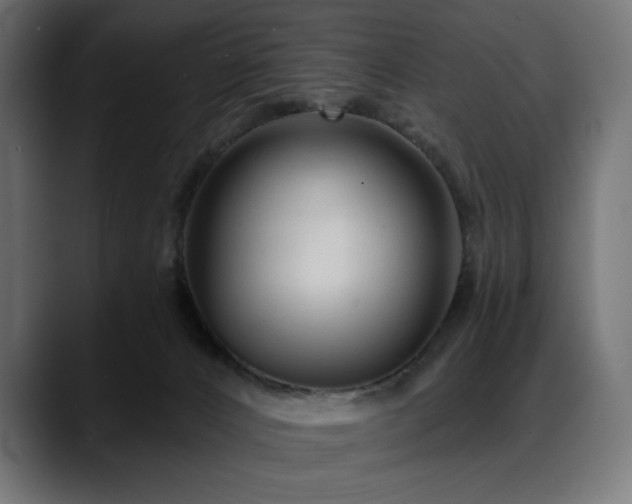 X0000088610032200705251230