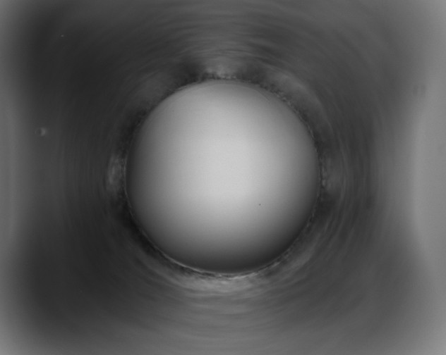 X0000088610036200705251230