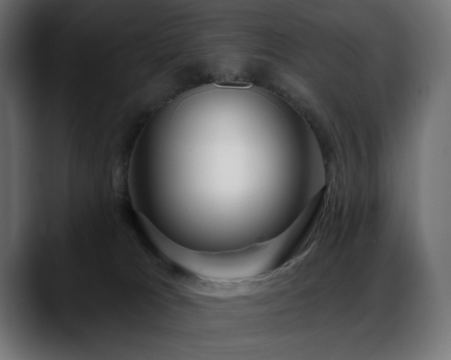 X0000088610037200705251230