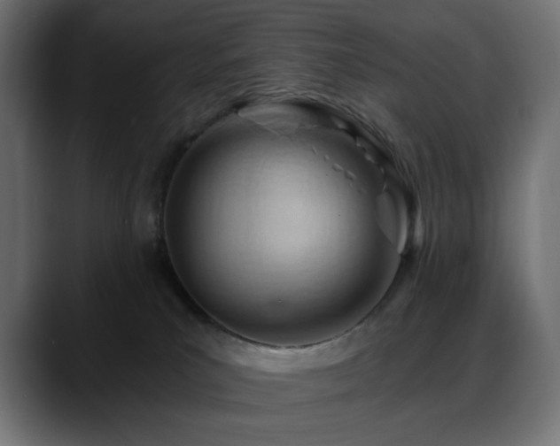 X0000088610039200705251230