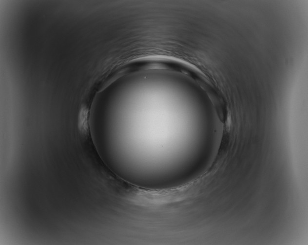 X0000088610041200705251230