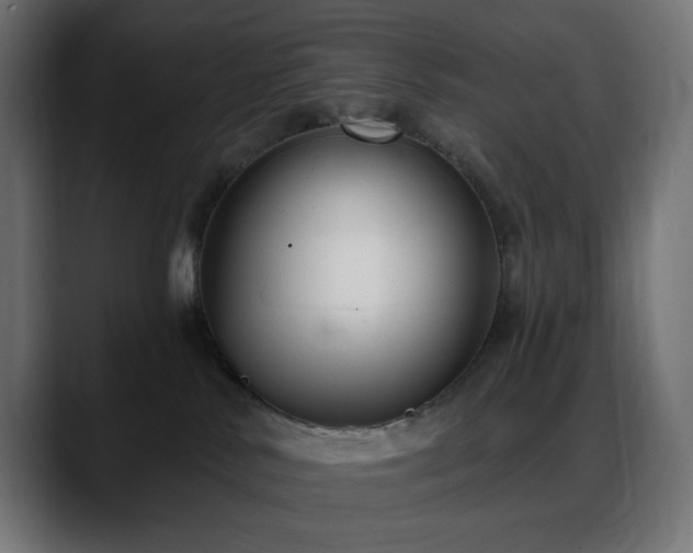 X0000088610042200705251230