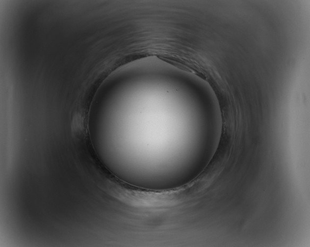 X0000088610044200705251230