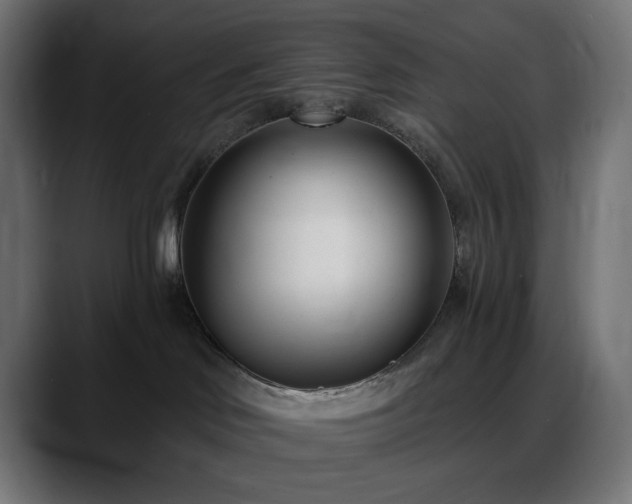 X0000088610046200705251230