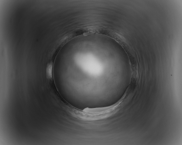 X0000088610047200705251230