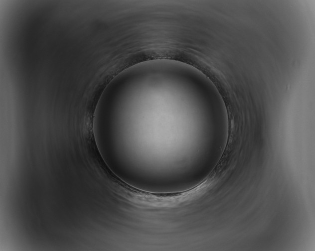 X0000088610048200705251230