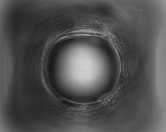 X0000088610049200705251229