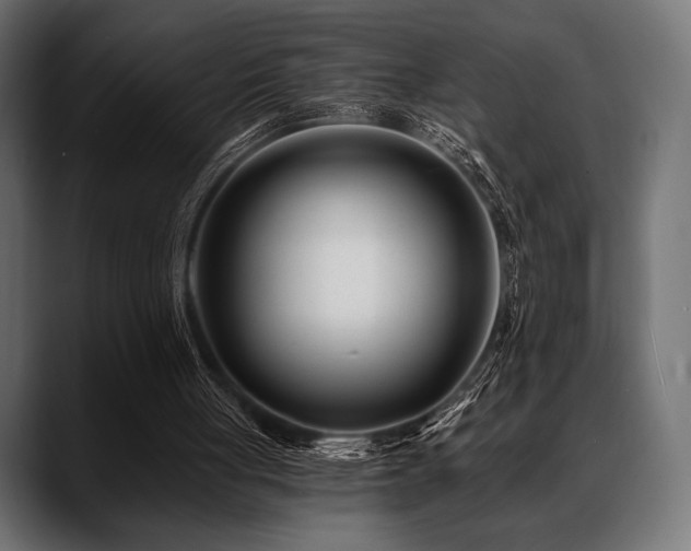 X0000088610051200705251229