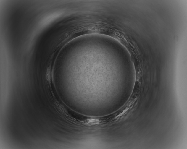 X0000088610052200705251229