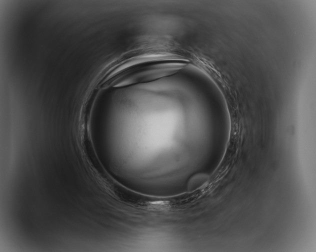 X0000088610053200705251229