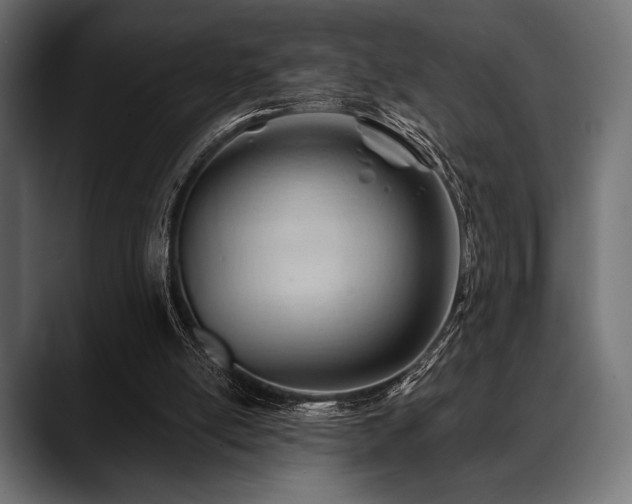 X0000088610054200705251229