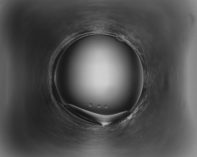 X0000088610055200705251229