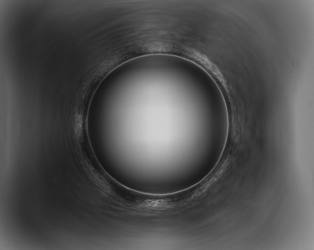 X0000088610057200705251229